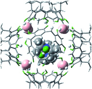 Probing the Inner Space of Resorcinarene Molecular Capsules with Nitroxide Guests