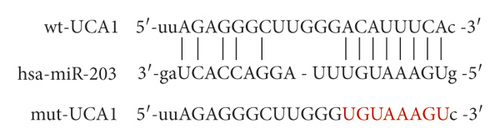Details are in the caption following the image