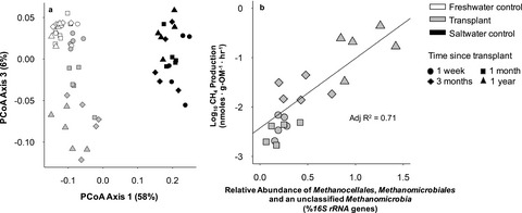 Novel microbial community composition and carbon biogeochemistry emerge over time following saltwater intrusion in wetlands