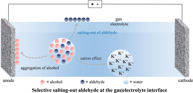 Salting-Out Aldehyde from the Electrooxidation of Alcohols with 100 % Selectivity