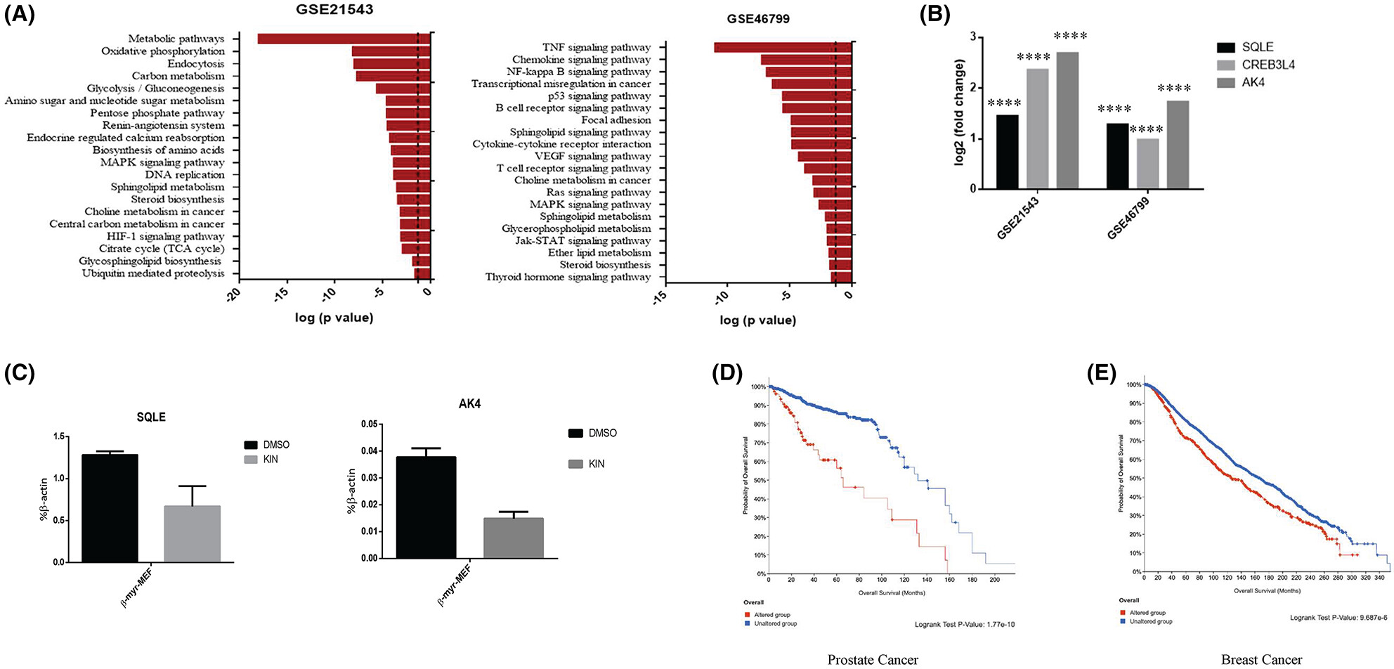 Cholesterol biogenesis is a PTEN-dependent actionable node for the treatment of endocrine therapy-refractory cancers