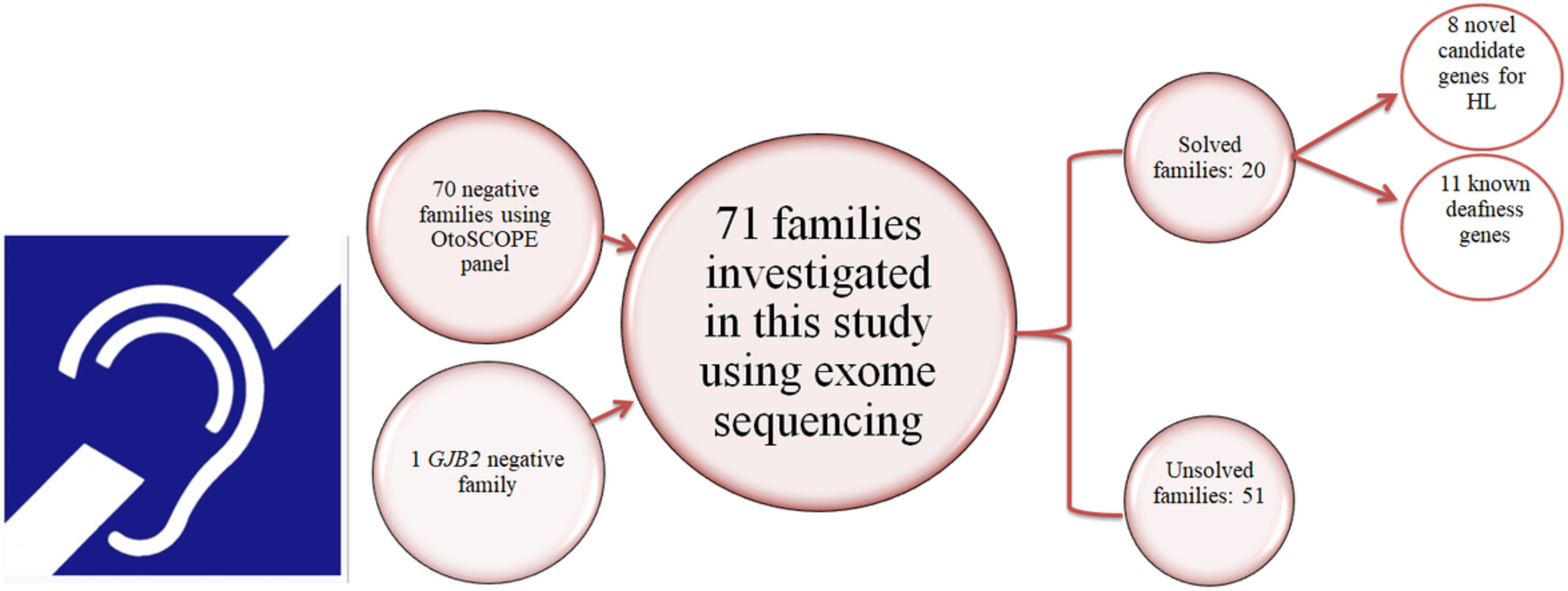 Exome sequencing utility in defining the genetic landscape of hearing loss and novel-gene discovery in Iran