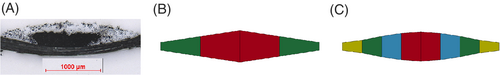 Details are in the caption following the image Details are in the caption following the image