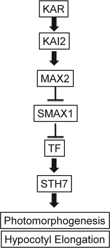 Details are in the caption following the image