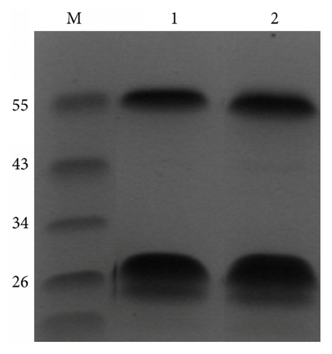 Details are in the caption following the image