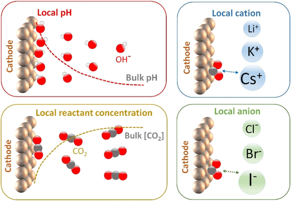 Rational Design of Local Reaction Environment for Electrocatalytic Conversion of CO2 into Multicarbon Products
