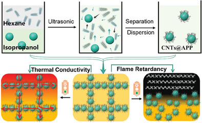 Controllable Self-Assembly of Carbon Nanotubes on Ammonium Polyphosphate as a Game-Changer for Flame Retardancy and Thermal Conductivity in Epoxy Resin