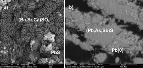 Details are in the caption following the image Details are in the caption following the image
