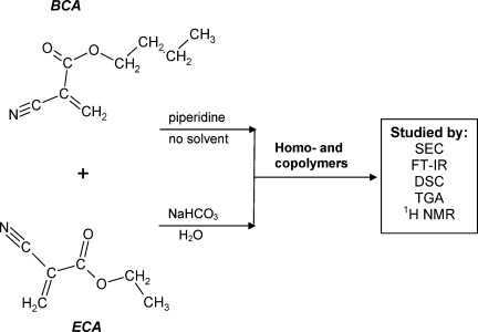 On the anionic homo- and copolymerization of ethyl- and butyl-2-cyanoacrylates