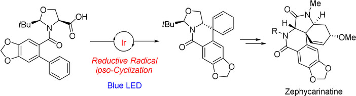 Total Synthesis of Zephycarinatines via Photocatalytic Reductive Radical ipso-Cyclization