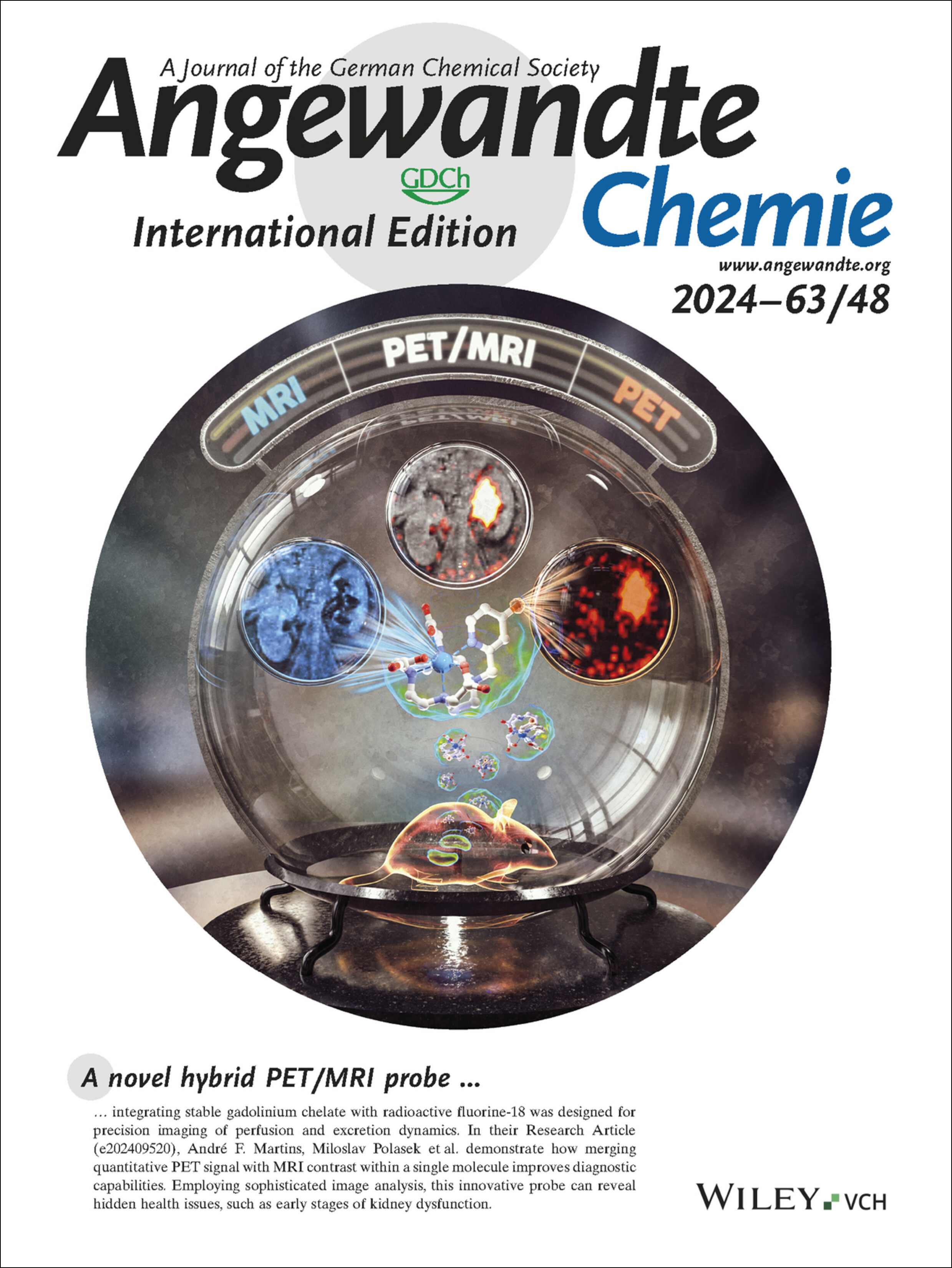 Back Cover: A Macrocyclic Hybrid PET/MRI Probe for Quantitative Perfusion Imaging In Vivo (Angew. Chem. Int. Ed. 48/2024) Volume 63 Issue 48, 2024