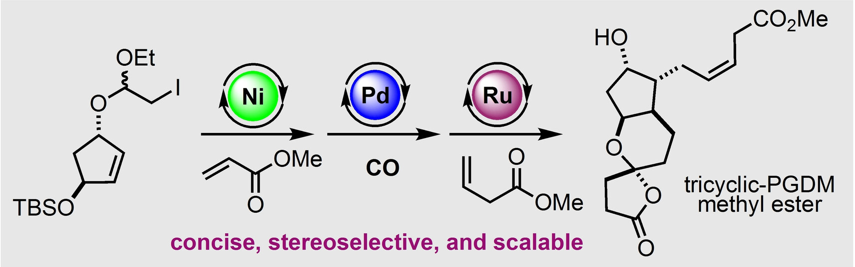 Catalysis-Enabled Concise and Stereoselective Total Synthesis of the Tricyclic Prostaglandin D2 Metabolite Methyl Ester