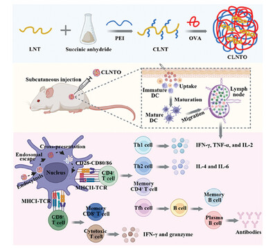 A General Strategy toward Self-assembled Nanovaccine Based on Cationic Lentinan to Induce Potent Humoral and Cellular Immune Responses