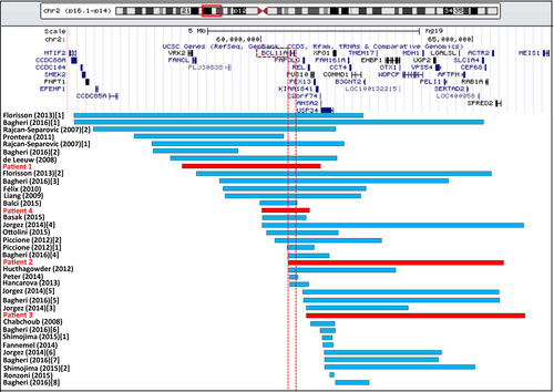 Details are in the caption following the image Details are in the caption following the image