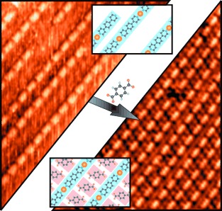 Ordering and Stabilization of Metal–Organic Coordination Chains by Hierarchical Assembly through Hydrogen Bonding at a Surface