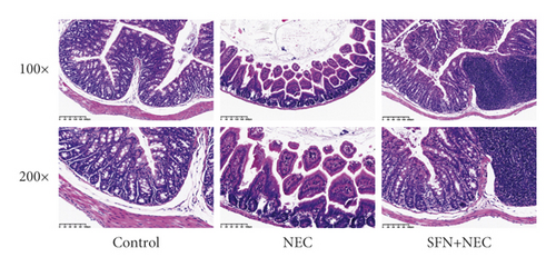 Details are in the caption following the image Details are in the caption following the image