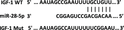 Details are in the caption following the image