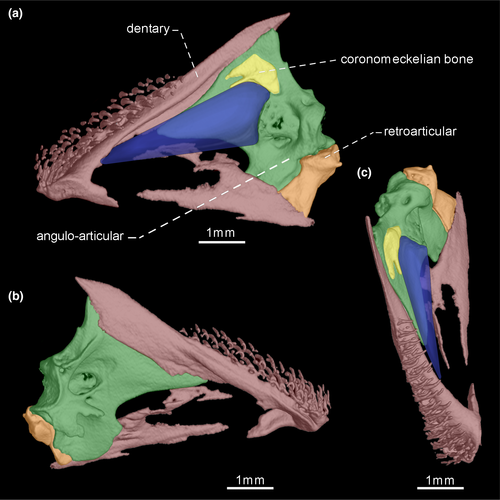 Details are in the caption following the image Details are in the caption following the image