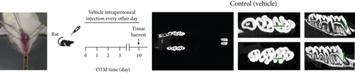 Details are in the caption following the image
