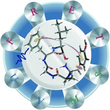 Resonance Energy Transfer Relates the Gas-Phase Structure and Pharmacological Activity of Opioid Peptides