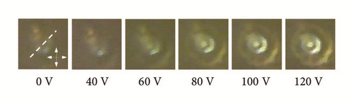 Details are in the caption following the image