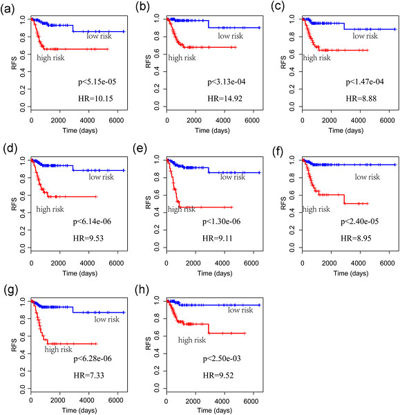 Identification of CD28 and PTEN as novel prognostic markers for cervical cancer