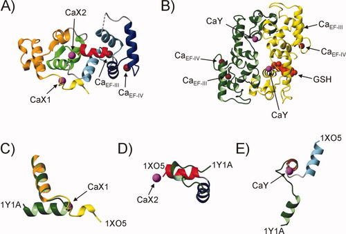 Details are in the caption following the image Details are in the caption following the image