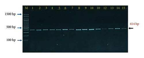 Details are in the caption following the image