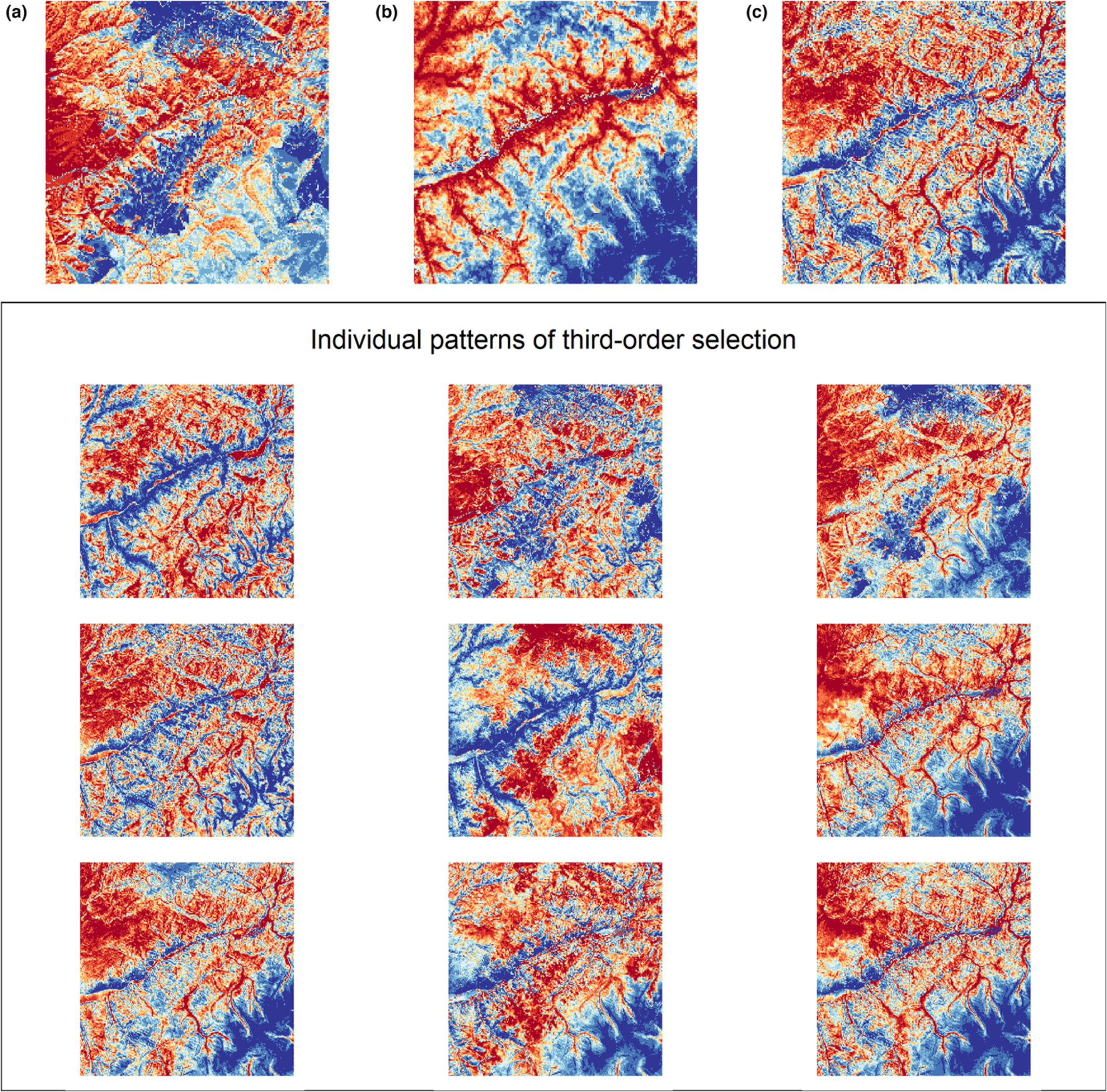 Evaluating the summer landscapes of predation risk and forage quality for elk (Cervus canadensis)