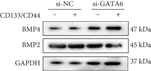 Details are in the caption following the image