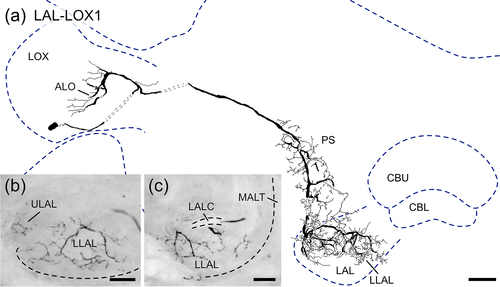 Details are in the caption following the image Details are in the caption following the image