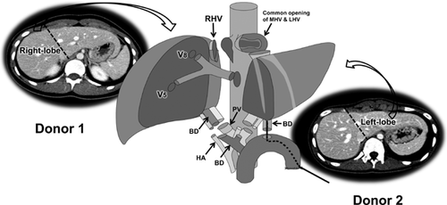 Details are in the caption following the image Details are in the caption following the image