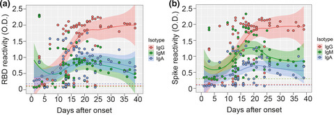Kinetics and isotype assessment of antibodies targeting the spike protein receptor-binding domain of severe acute respiratory syndrome-coronavirus-2 in COVID-19 patients as a function of age, biological sex and disease severity