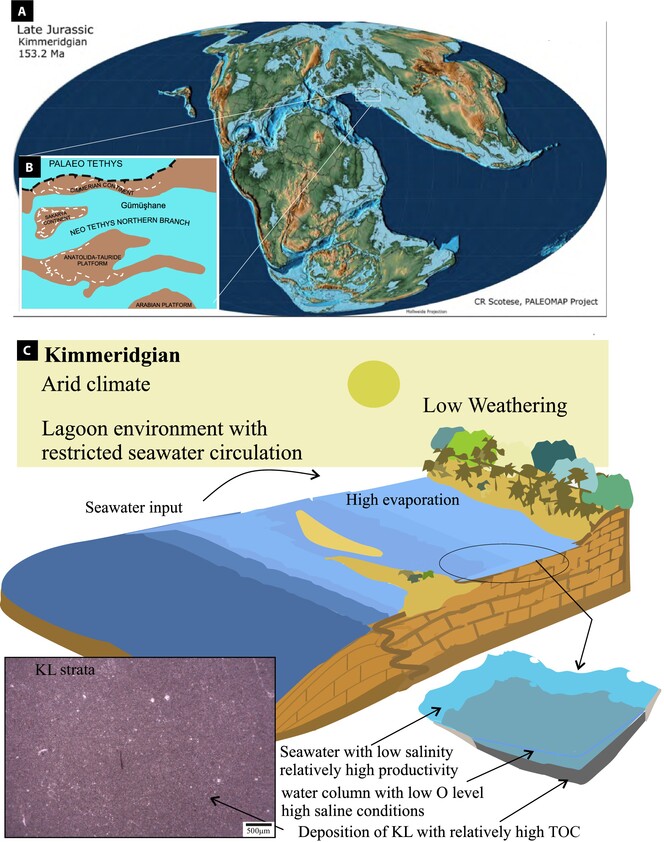 Microfacies and geochemistry of Kimmeridgian limestone strata in the Eastern Pontides (North-East Turkey): Palaeoclimate and palaeoenvironmental influence on organic matter enrichment