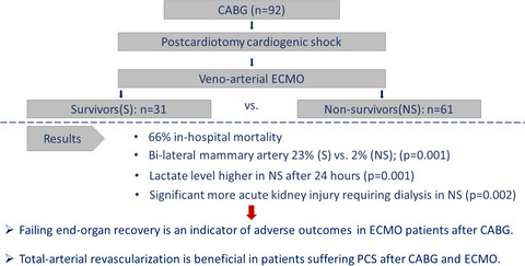 Risk factors associated with in-hospital mortality for patients with ECLS due to postcardiotomy cardiogenic shock after isolated coronary surgery