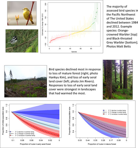 Synergistic effects of climate and land-use change influence broad-scale avian population declines