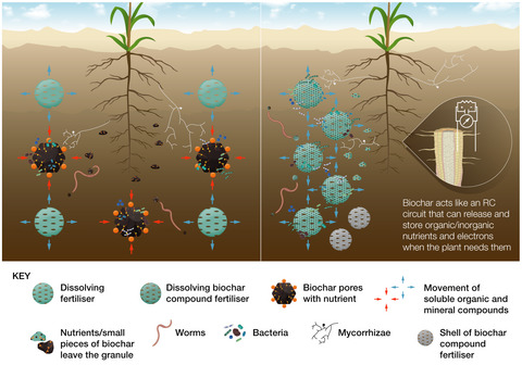 How biochar works, and when it doesn't: A review of mechanisms controlling soil and plant responses to biochar