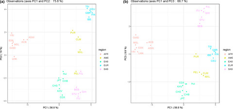RETRACTED: An innovative panel containing a set of insertion/deletion loci for individual identification and its forensic efficiency evaluations in Chinese Hui ethnic minority