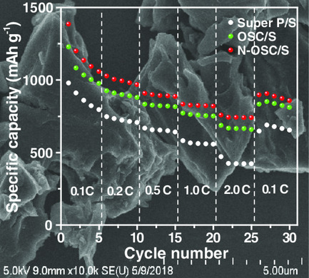 Natural Okra Shells Derived Nitrogen-Doped Porous Carbon to Regulate Polysulfides for High-Performance Lithium–Sulfur Batteries