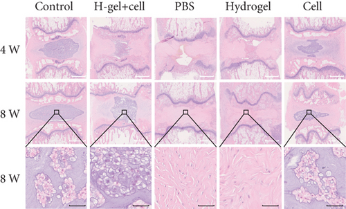 Details are in the caption following the image Details are in the caption following the image