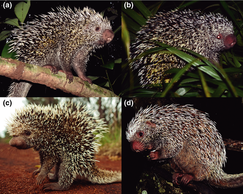 Details are in the caption following the image