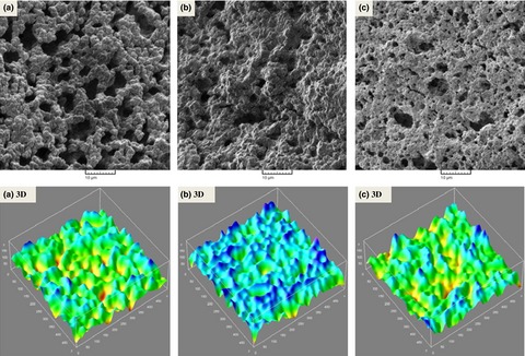 Effect of Persian and almond gums as fat replacers on the physicochemical, rheological, and microstructural attributes of low-fat Iranian White cheese