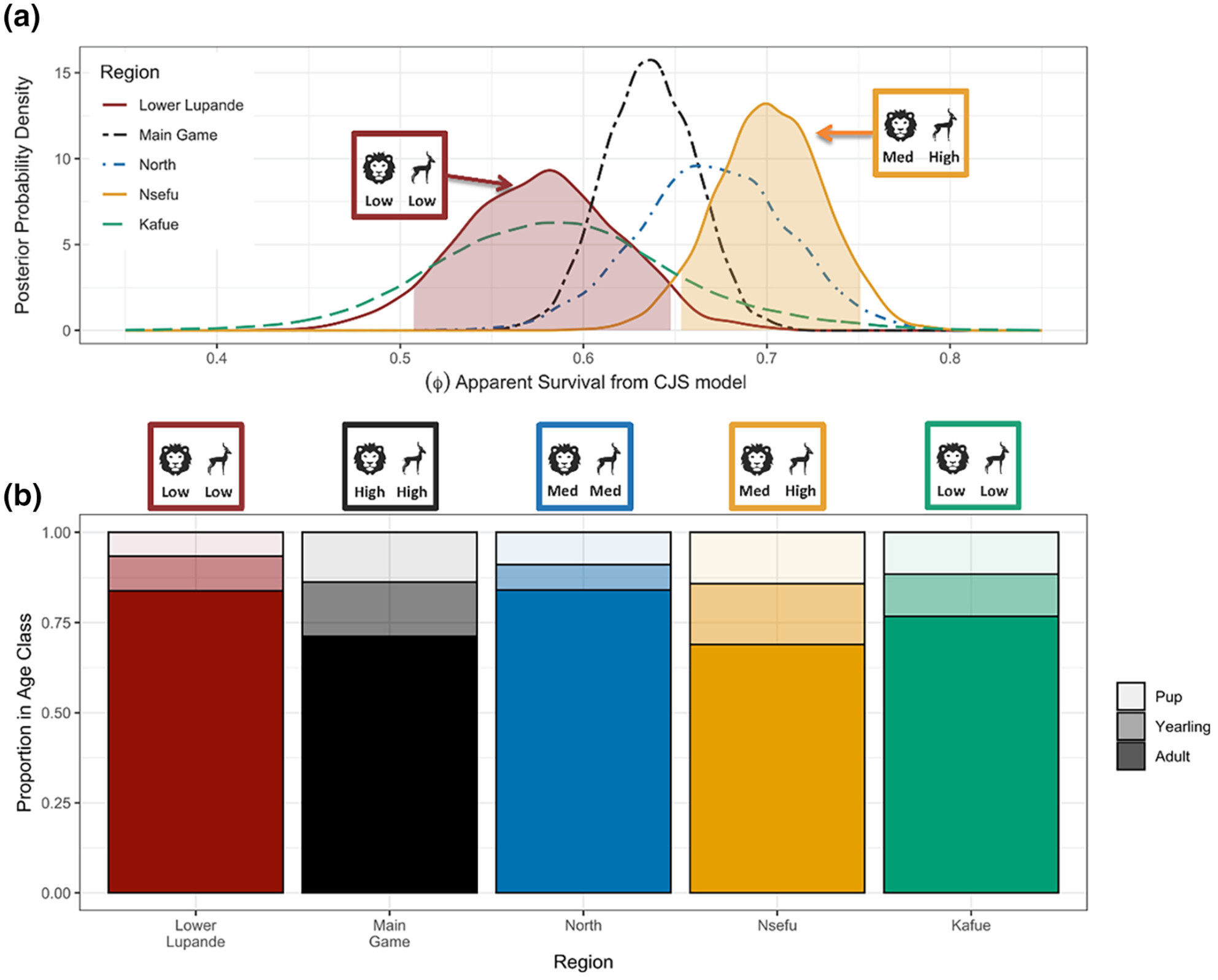 Long-term data reveal fitness costs of anthropogenic prey depletion for a subordinate competitor, the African wild dog (Lycaon pictus)