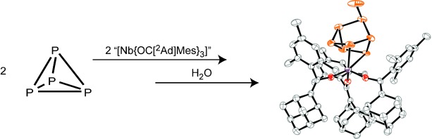 A Reactive Niobium Phosphinidene P8 Cluster Obtained by Reductive Coupling of White Phosphorus