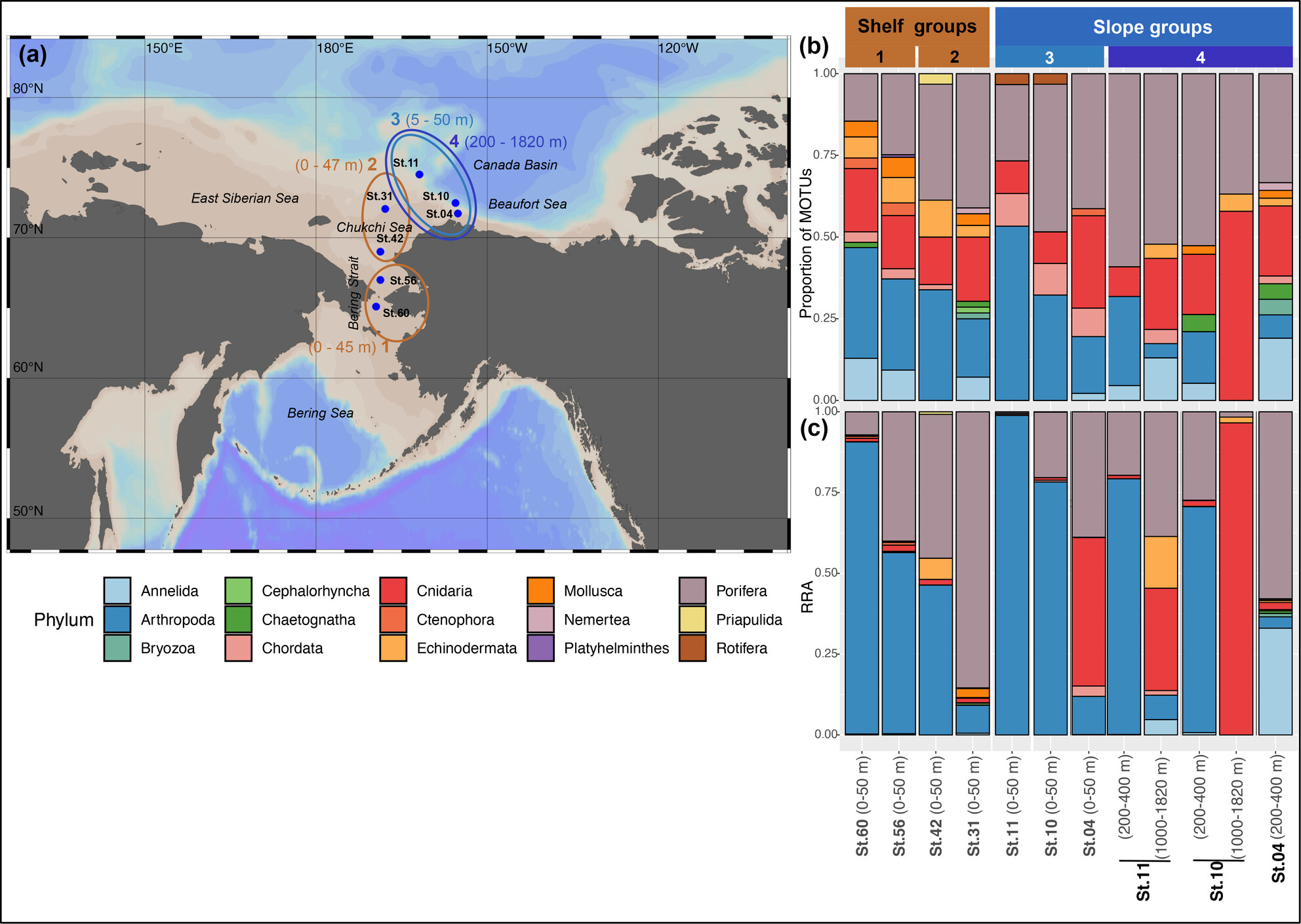 Metazoan Diversity and Its Drivers: An eDNA Survey in the Pacific Gateway of a Changing Arctic Ocean