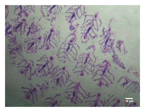 Details are in the caption following the image