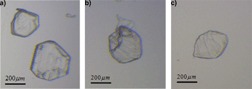 Growth and Dissolution Kinetics of A and B Polymorphs of L-Histidine
