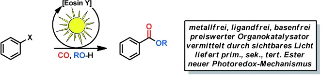 Metallfreie Carbonylierung durch Photoredoxkatalyse