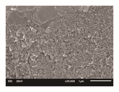 Details are in the caption following the image