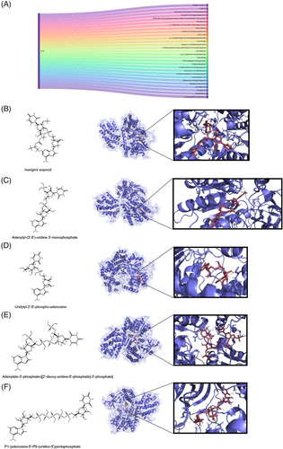 Details are in the caption following the image Details are in the caption following the image